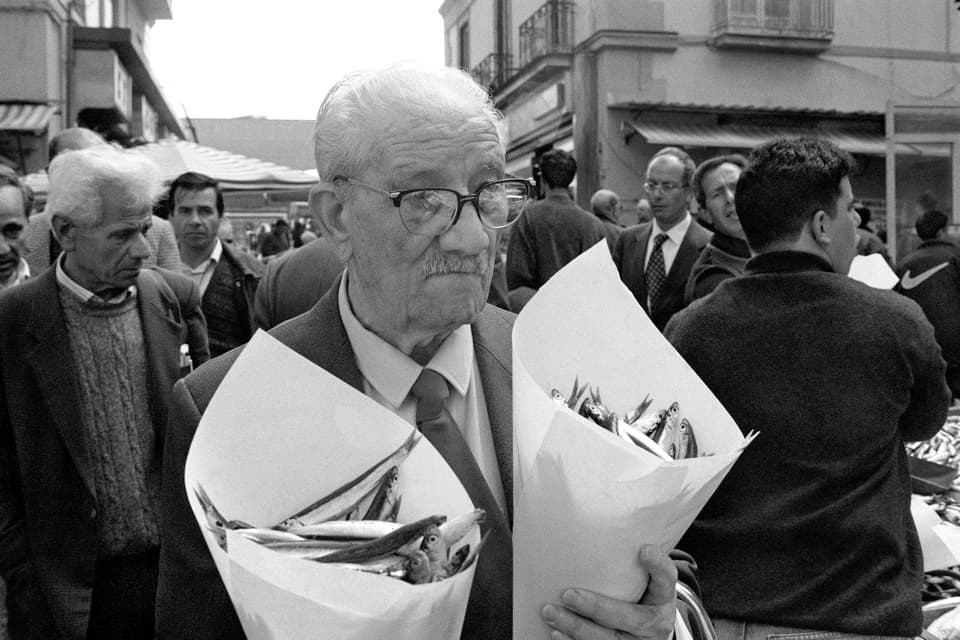 The lord of the anchovy